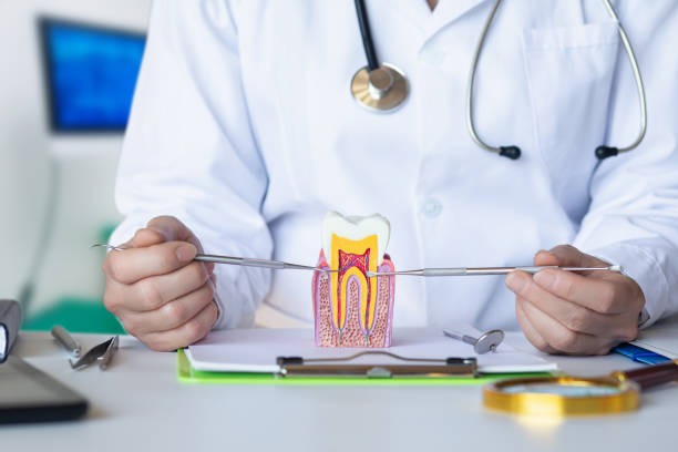 Best 24-Hour Emergency Dentist in Mertzon, TX